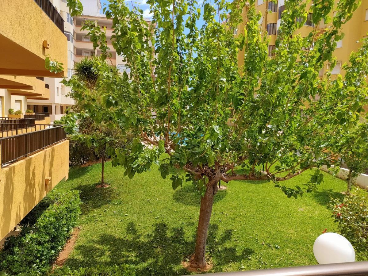 Tamaris Playa Solo Familias Serviplaya Плая-де-Ширако Экстерьер фото